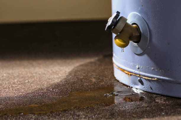 Best 24-hour water damage restoration  in Shanor Northvue, PA