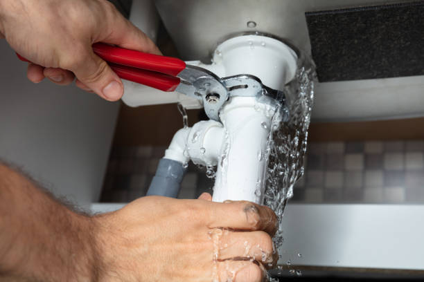 Best Professional water damage repair  in Shanor Northvue, PA