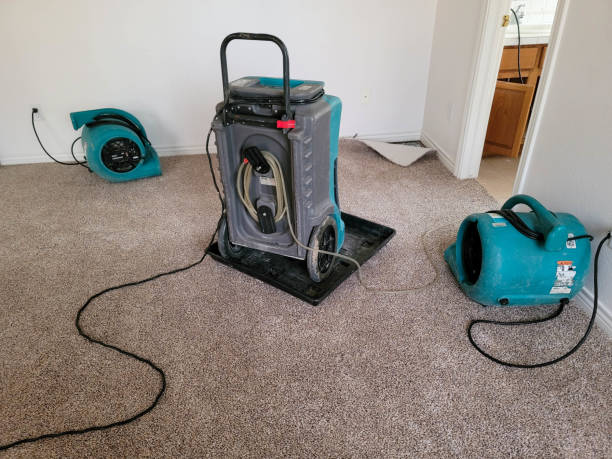 Best Professional water damage repair  in Shanor Northvue, PA