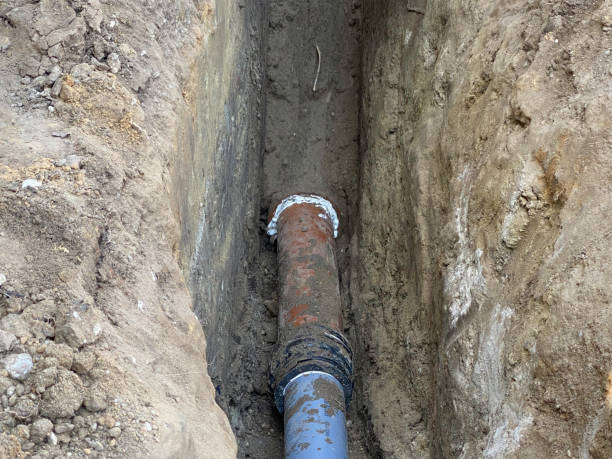 Best Basement water damage restoration  in Shanor Northvue, PA