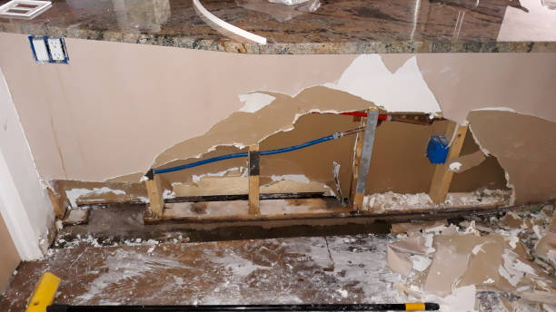 Best Basement water damage restoration  in Shanor Northvue, PA