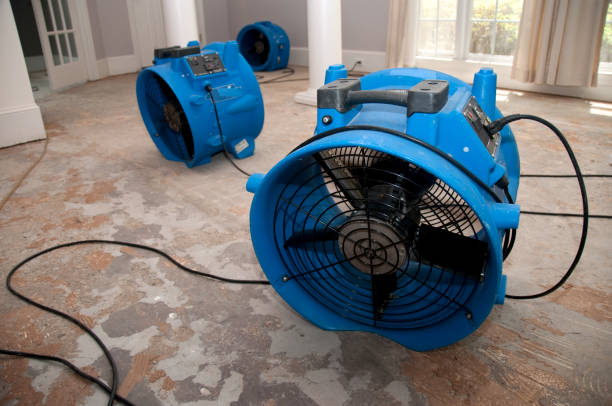Best Flooded house restoration  in Shanor Northvue, PA