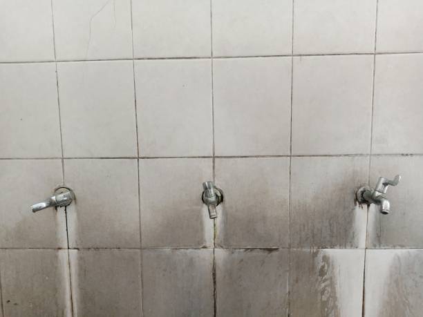 Best Mold removal after water damage  in Shanor Northvue, PA
