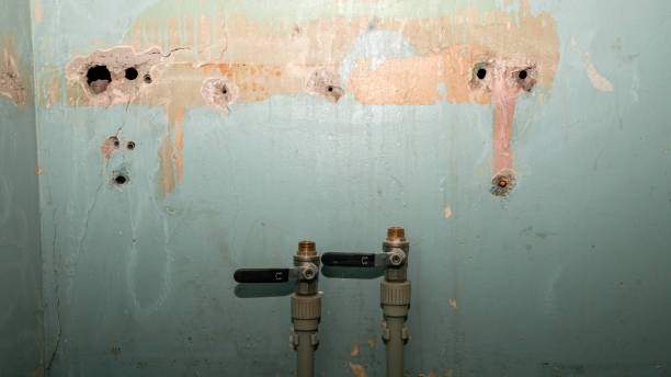 Best Water damage restoration experts  in Shanor Northvue, PA