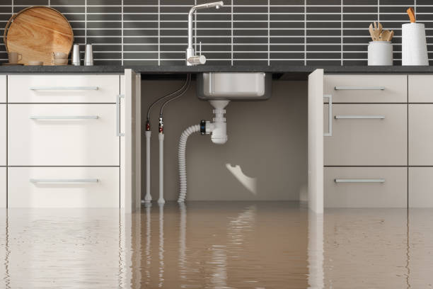 Best Ceiling water damage repair  in Shanor Northvue, PA