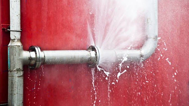 Best Water damage restoration services  in Shanor Northvue, PA